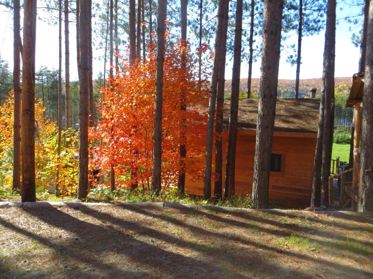 La Maison Sous Les Arbres Saint Roch de Mekinac Exterior foto